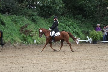 Bild 882 - WBO-Turnier am 18.9.11